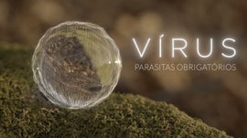 Vrus - Parasitas Obrigatrios