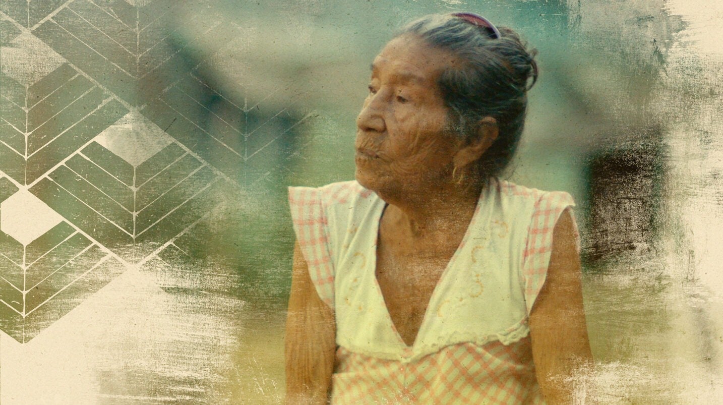 Nheengatu:  A Língua da Amazónia
