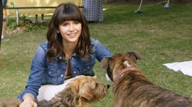 Imagem de Dog Days - Vidas de Cão