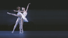 O Lago dos Cisnes pelo Ballet Kirov