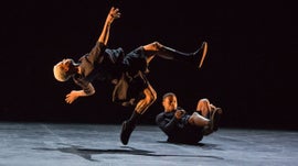 Imagem de Nova Cria��o de Bruno Beltr�o