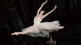O Essencial do Royal Ballet