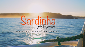 Sardinha Portuguesa - Uma Riqueza Natural