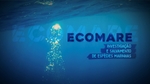 Play - Ecomare - Investigação e Salvamento de Espécies Marinhas