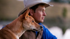 Imagem de Dingo: C�o Selvagem em Guerra