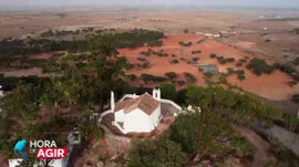 Imagem de Pastagens Regenerativas