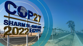 Imagem de COP27 - Para Que Servem as COP?