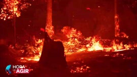 Imagem de Prevenir os Inc�ndios Florestais