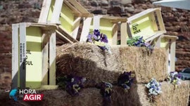 Imagem de Agricultura Sustent�vel e Alimenta��o Saud�vel