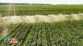 Imagem de Como Poupar �gua na Agricultura