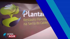 Imagem de Restauro Ecol�gico da Serra do Caldeir�o - Projeto Plantar �gua