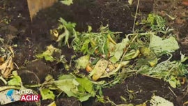 Imagem de Compostagem