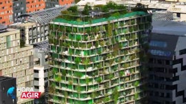 Imagem de Coberturas Verdes