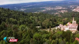 Imagem de Os Servi�os de Ecossistema da Floresta