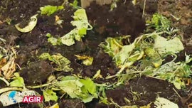 Imagem de Valoriza��o dos Res�duos Agr�colas