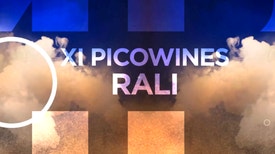 XI Pico Wines Rali 2022 - Resumo