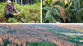 Imagem de Seca na Europa - Uma Cat�strofe Provocada