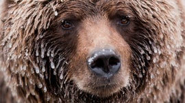 Imagem de A Magia da Natureza