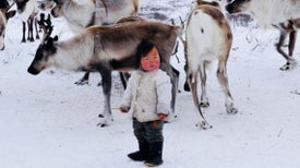 Mongólia: Um Inverno Tsaatan