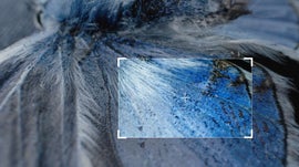 Imagem de Nano Sobreviv�ncia: Os Poderes Invis�veis da Natureza