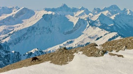 Inverno Branco: Uma Estação na Cadeia Alpina