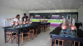 Imagem de Jovens Empreendedores Criam Projetos Ousados nos PALOP