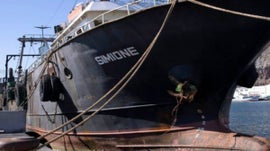 Imagem de O Narcotrfico em Angola