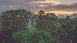 Imagem de O Mist�rio dos Rios Voadores da Amaz�nia