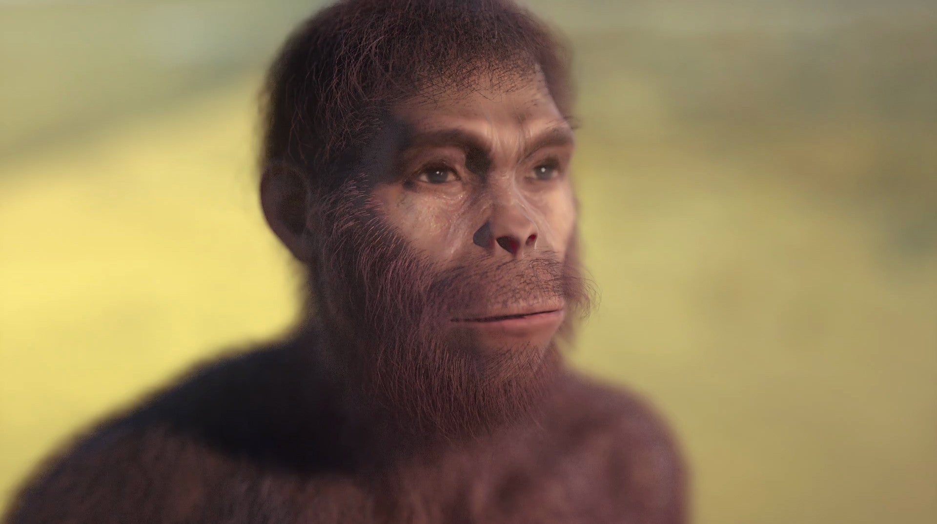 Kromdraai:  Descoberta do Primeiro Humano