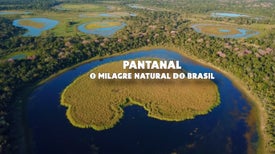 Pantanal: O Milagre Natural do Brasil