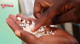 Imagem de Autossufici�ncia Alimentar no Congo / Como Resolver a Falta de Eletricidade na �frica do Sul