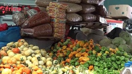 Imagem de Inova��es na Agricultura e Solu��es Para Acabar com a Polui��o