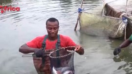 Imagem de Autossufici�ncia Alimentar / Revolu��o de Minerais Cr�ticos