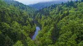 Imagem de O Norte Abundante