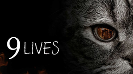 Imagem de 9 Vidas