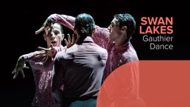 Imagem de Swan Lakes