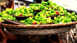 Imagem de O Sabor da Saudade