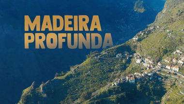 Imagem de Madeira Profunda