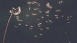 Imagem de Microorganismos: O Ar Que Respiramos