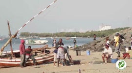 Imagem de Hist�rias de Duas Pescadoras em Massingir ...