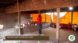 Imagem de Como Fazer a Instala��o da Energia Solar no Interior do Avi�rio ...