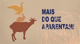 Imagem de Mais do que Aparentam!