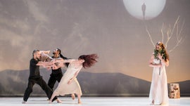 Imagem de A �rvore de Carolyn Carlson