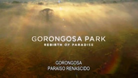 Gorongosa: Paraíso Renascido