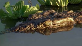 Imagem de Mundos Desconhecidos