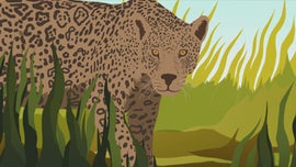 Imagem de Recuperar a Natureza