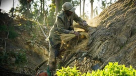 Imagem de Mundos Humanos