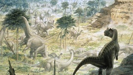 Imagem de Segredos Jur�ssicos