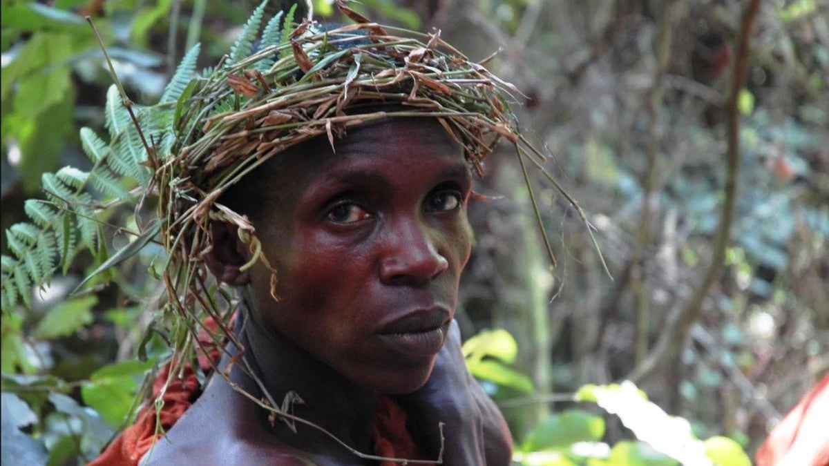 Imagem de Montanhas Virunga, Terra de Gelo e de Fogo