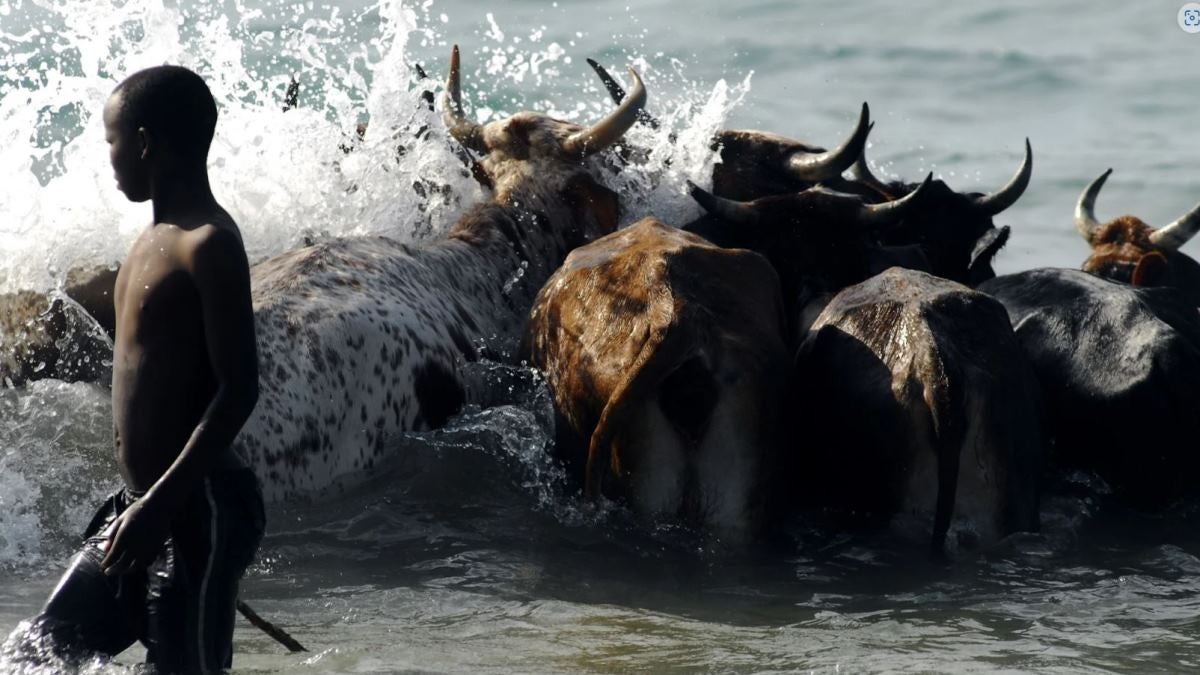 Imagem de Costa do Cabo, Onde os Mundos Colidem